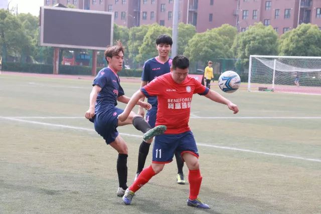 赵继伟缺阵辽宁负青岛 杨瀚森17+9付豪13分